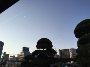 山口