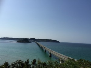 山口6