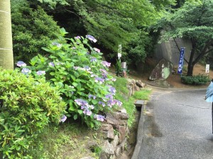 千光寺２