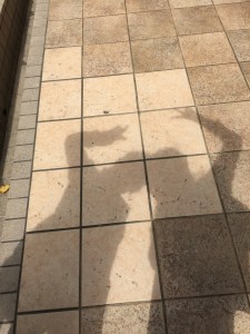アルパーク２