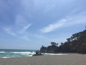 高知２