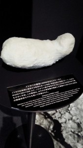 do-mu5-5