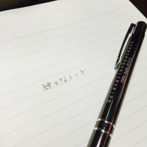shinshi3