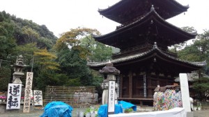 hatu1