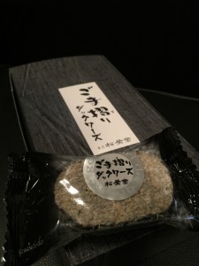 nagai13