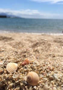 海