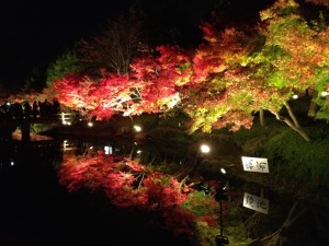 こ