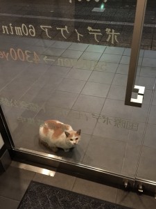 ね