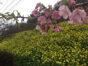 なの