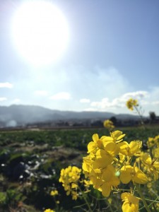 ま