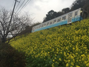 なの３