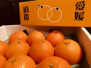 紅