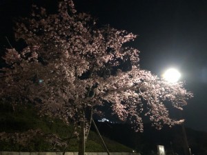よ