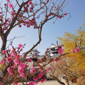 松山城２