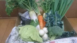 野菜さん
