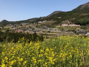 カワ