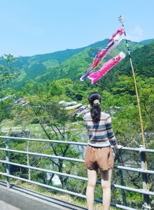 鯉のぼり２